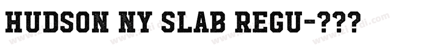 Hudson NY Slab Regu字体转换